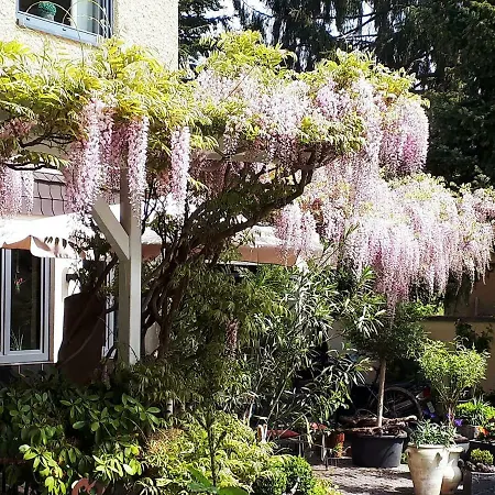 罗森伯格兰德酒店 3* Osann-Monzel