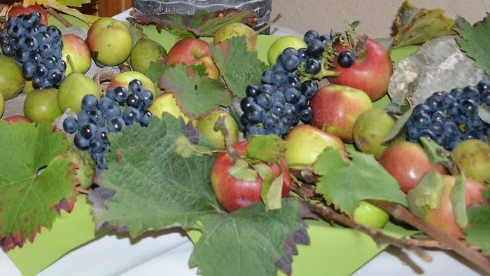 Rosenberg Hotel Osann-Monzel