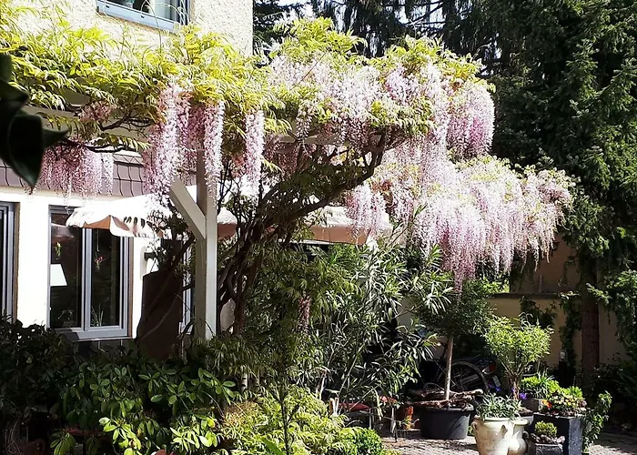 Rosenberg 3* Osann-Monzel