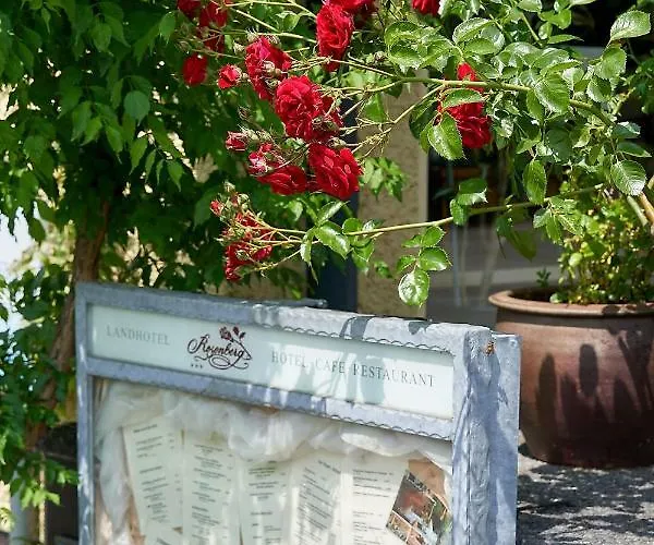 Rosenberg 호텔 Osann-Monzel